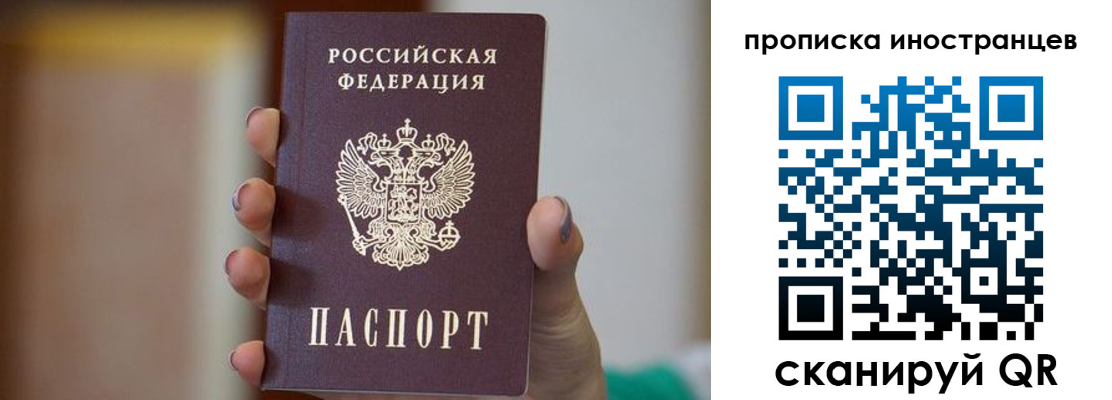 временная регистрация для школы в Светлогорске